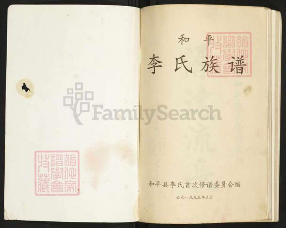 广东省河源市和平李氏族谱-和平李氏族谱.pdf电子版预览图1