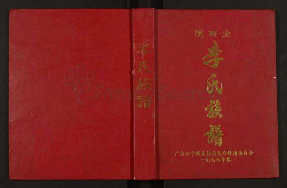 广东省梅州市兴宁市李氏陇西堂族谱-李氏宗谱.pdf电子版缩略图