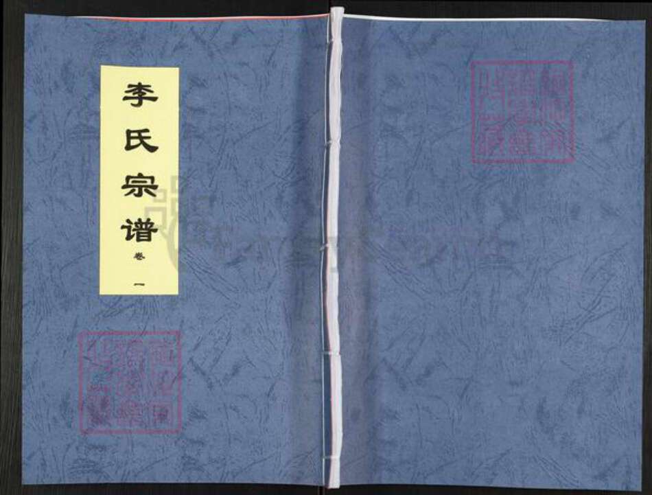 安徽省合肥市肥西县李氏诗酒堂族谱-李氏宗谱.pdf电子版缩略图