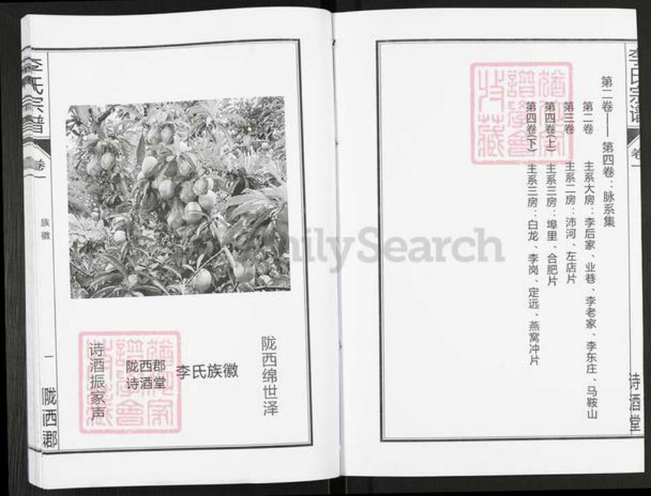 安徽省合肥市肥西县李氏诗酒堂族谱-李氏宗谱.pdf电子版预览图3