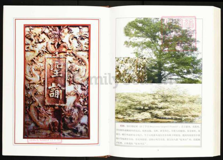 江西省萍乡市湘东区下端口镇李氏敦睦堂族谱-西平杞木李氏七修族谱.pdf电子版预览图5