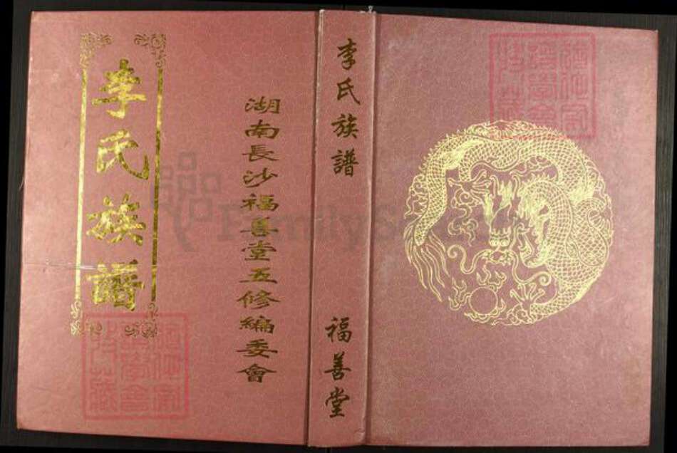 湖南省长沙市望城区李氏福善堂族谱-李氏福善堂族谱.湖南长沙占春公支系.pdf电子版缩略图