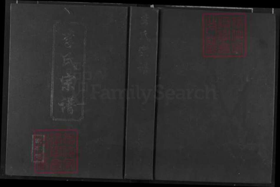 湖北省武汉市新洲区李氏敦本堂族谱-李氏宗谱.pdf电子版缩略图