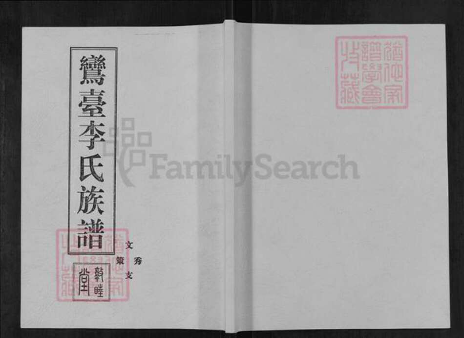 山东省德州市齐河县马集镇李氏敦睦堂族谱-鸾台李氏族谱.pdf电子版缩略图