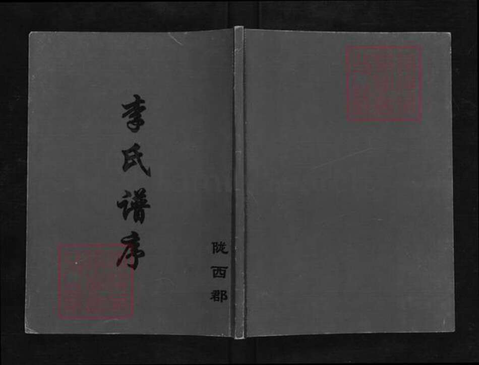 江苏省盐城市亭湖区李氏陇西堂族谱-李氏谱序.pdf电子版缩略图