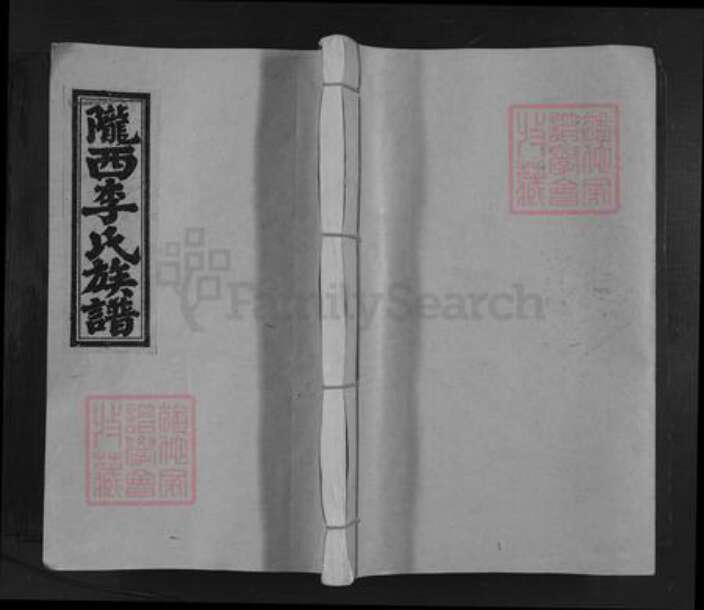 江西省赣州市于都县李氏族谱-陇西李氏族谱.pdf电子版缩略图