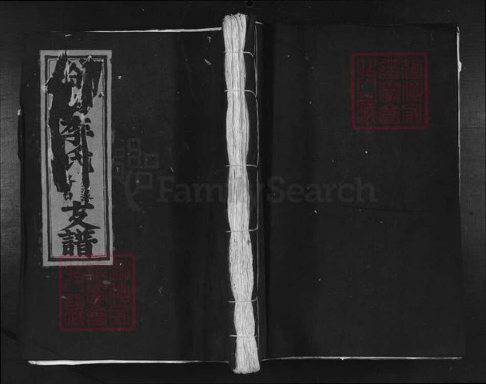 江西省吉安市吉水县李氏族谱-谷村李氏月洲派路口支谱.pdf电子版缩略图