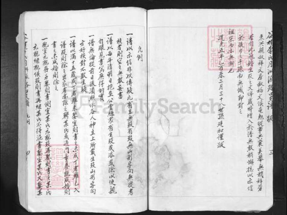 江西省吉安市吉水县李氏族谱-谷村李氏月洲派路口支谱.pdf电子版预览图4