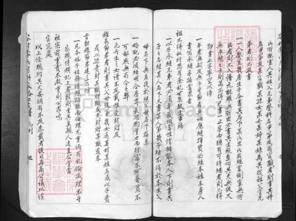 江西省吉安市吉水县李氏族谱-谷村李氏月洲派路口支谱.pdf电子版预览图5