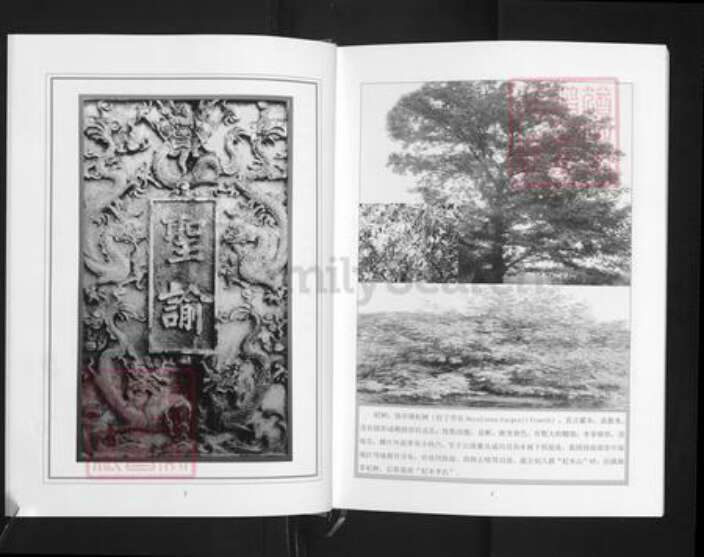 江西省萍乡市湘东区下端口镇李氏敦睦堂族谱-西平杞木李氏七修族谱.pdf电子版预览图5 江西省萍乡市湘东区下端口镇李氏敦睦堂族谱-西平杞木李氏七修族谱.pdf电子版预览图5