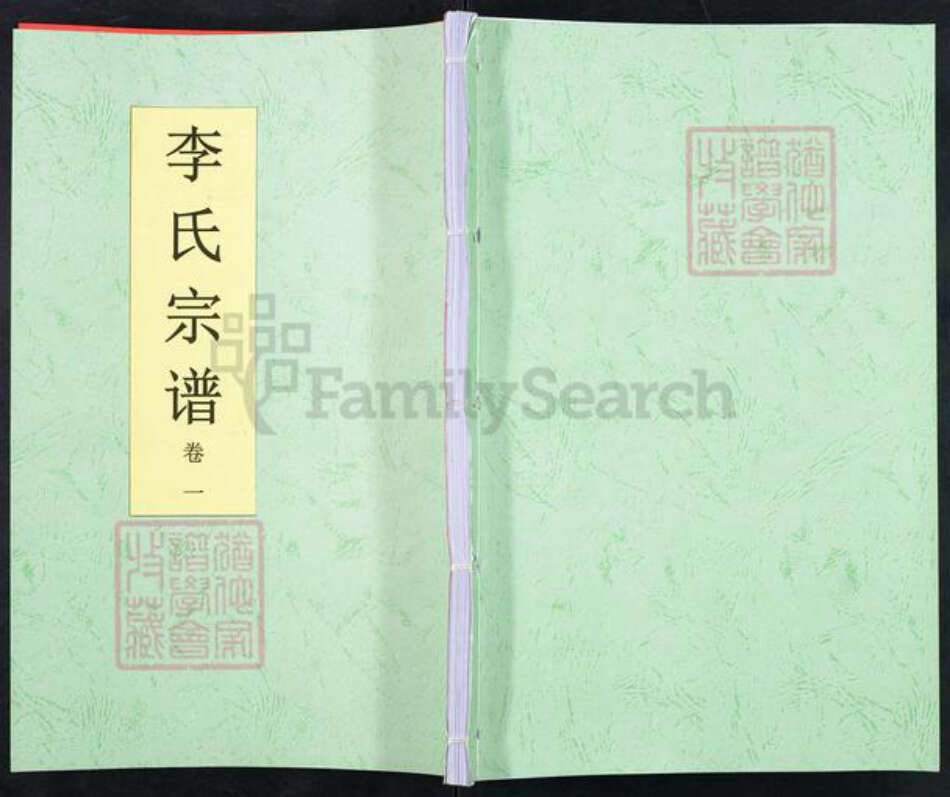 安徽省合肥市巢湖市李氏族谱-李氏宗谱.pdf电子版缩略图