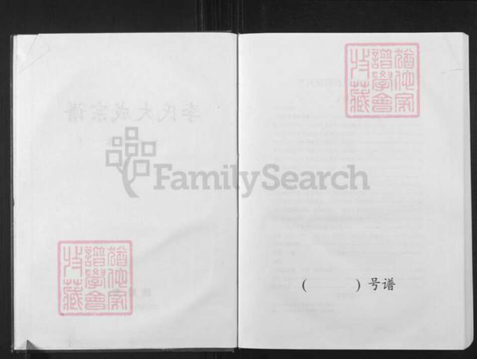 安徽省安庆市怀宁县石牌镇李氏敦睦堂族谱-李氏大成宗谱.pdf电子版预览图2