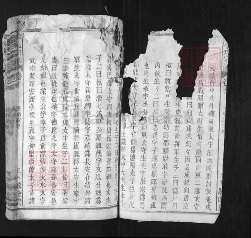 湖北省黄冈市黄梅县独山镇李氏敬睦堂族谱-李氏宗谱.pdf电子版预览图2