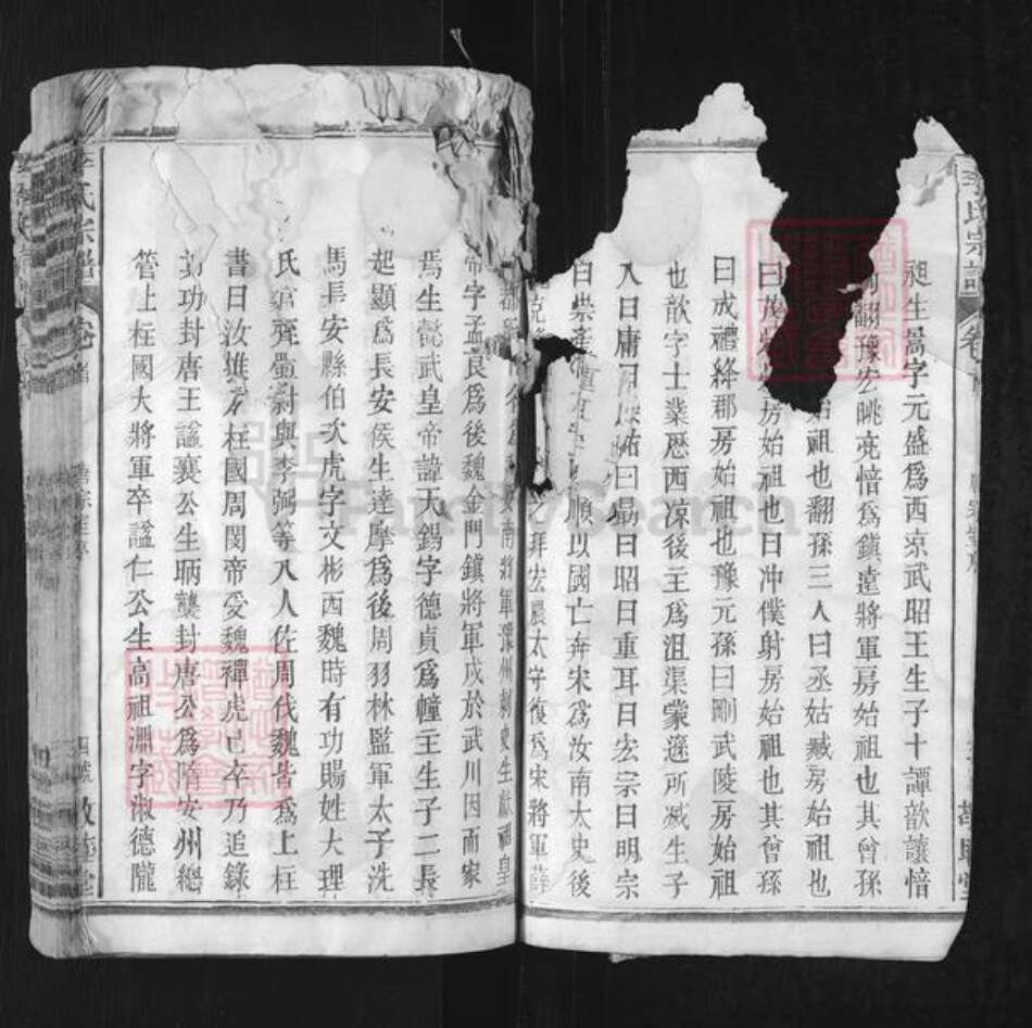 湖北省黄冈市黄梅县独山镇李氏敬睦堂族谱-李氏宗谱.pdf电子版预览图3