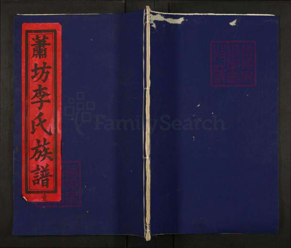 江西省南昌市青山湖区湖坊镇李氏蟠根堂族谱-萧坊李氏族谱.pdf电子版缩略图