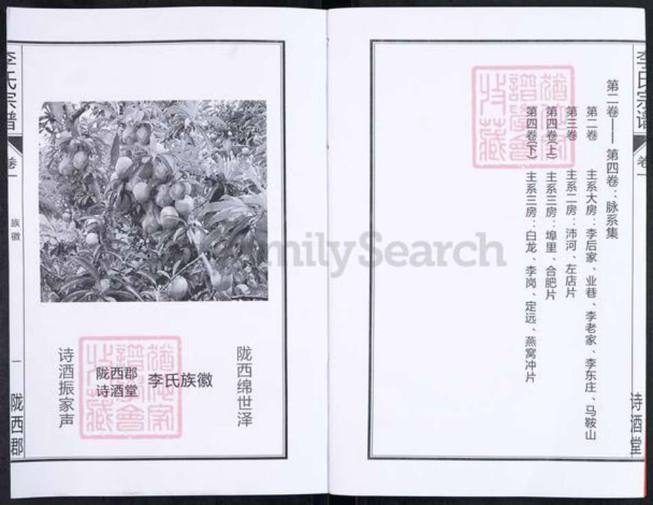 安徽省合肥市肥西县花岗镇李氏诗酒堂族谱-李氏宗谱.pdf电子版预览图3 安徽省合肥市肥西县花岗镇李氏诗酒堂族谱-李氏宗谱.pdf电子版预览图3