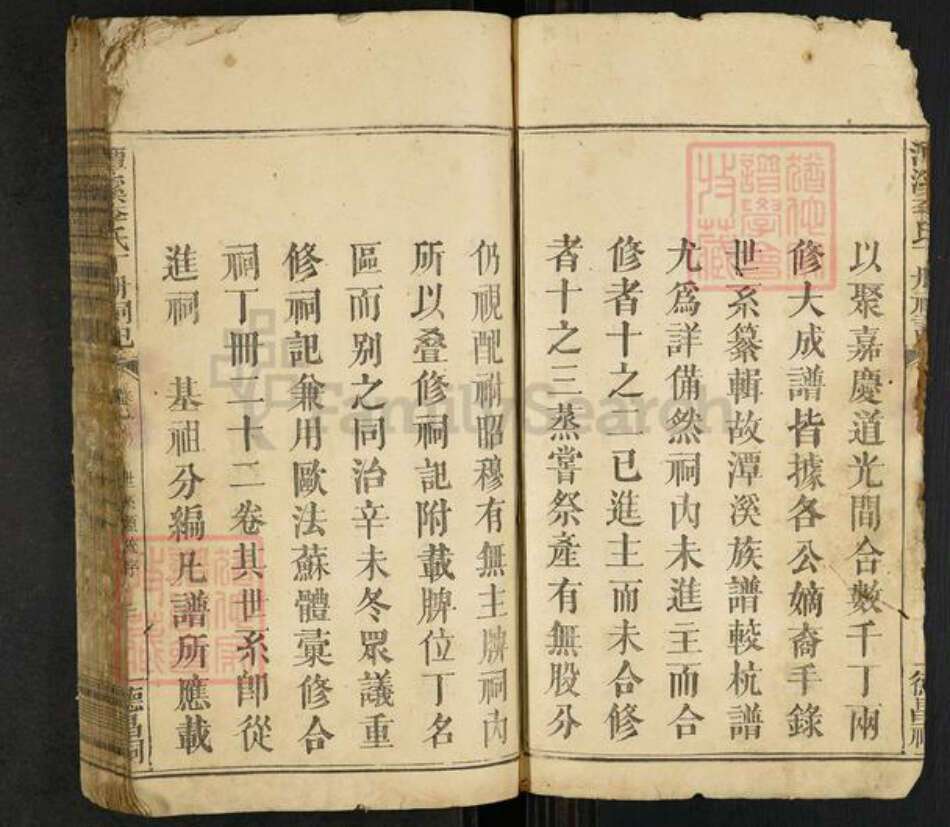 福建省龙岩市上杭县稔田镇李氏族谱-潭溪李氏丁册祠记.pdf电子版预览图3