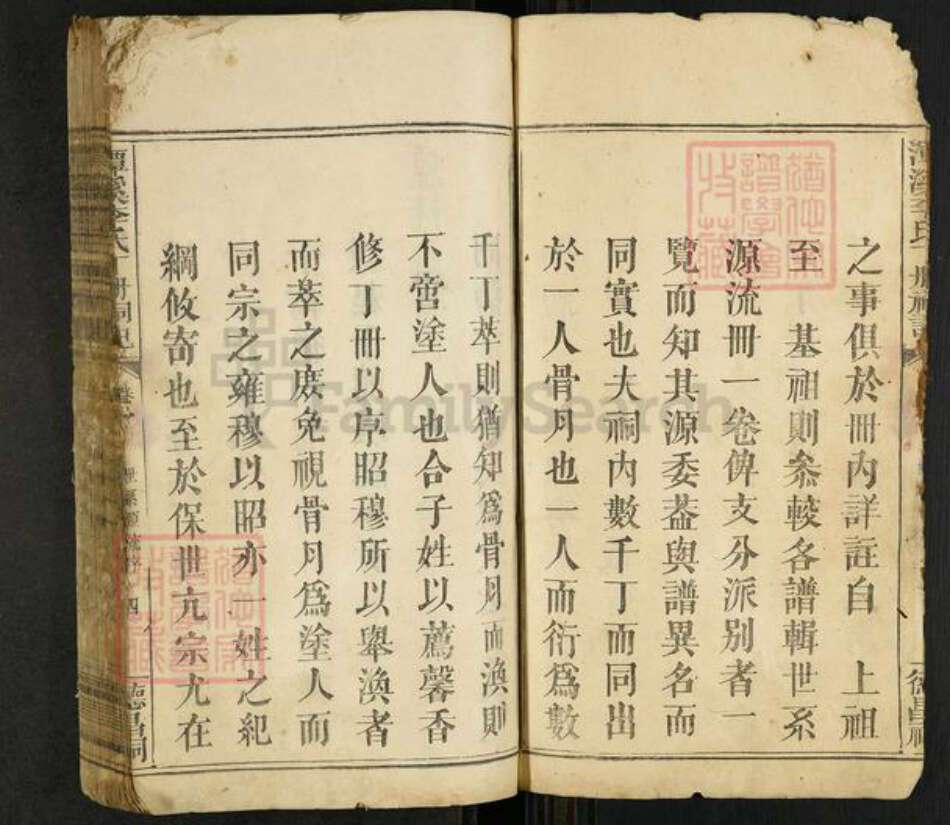 福建省龙岩市上杭县稔田镇李氏族谱-潭溪李氏丁册祠记.pdf电子版预览图4