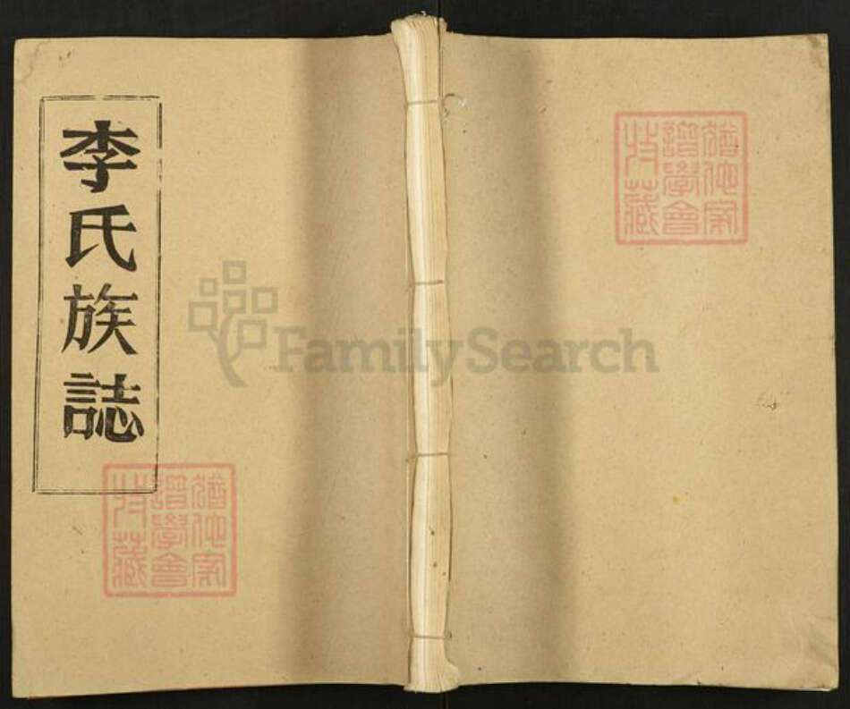 湖北省荆州市监利县李氏族谱-李氏族志[13册].pdf电子版缩略图