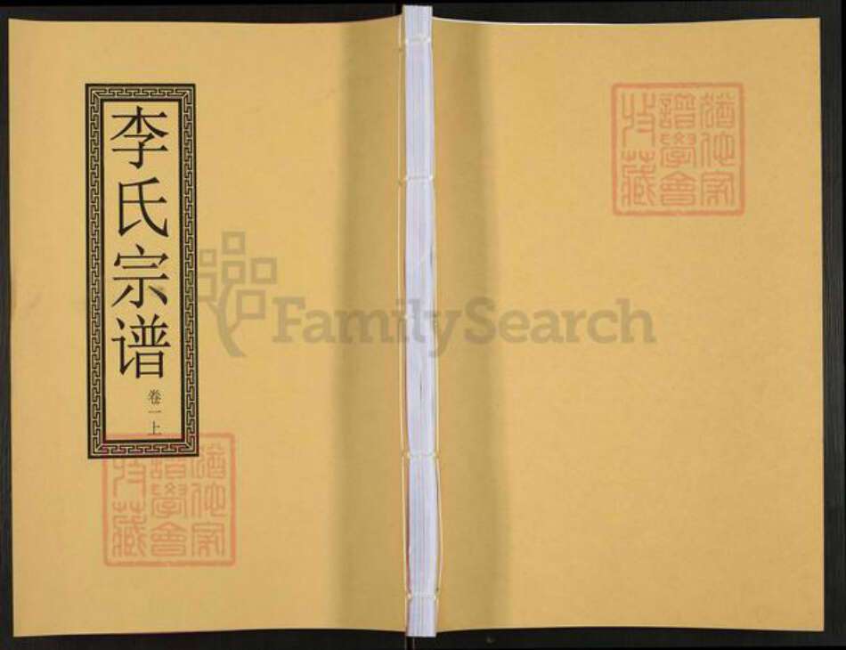 安徽省合肥市长丰县义井乡李氏敦本堂族谱-李氏宗谱.pdf电子版缩略图