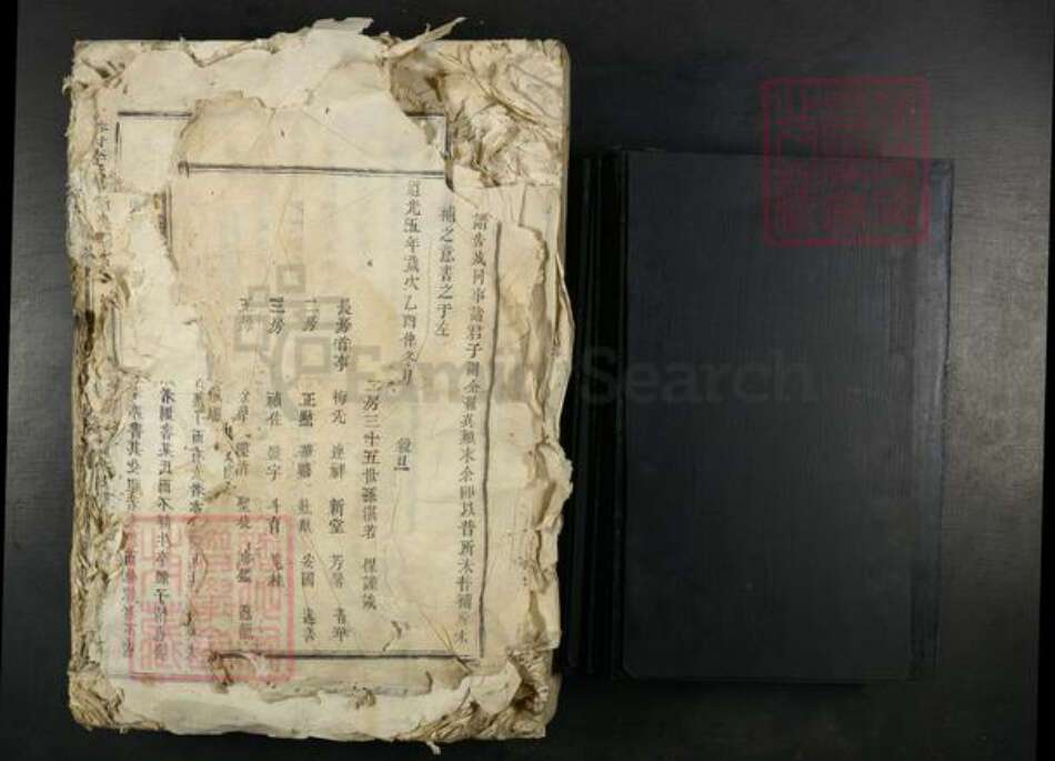 江西省吉安市吉水县李氏族谱-谷村李氏月州派谱.pdf电子版预览图1