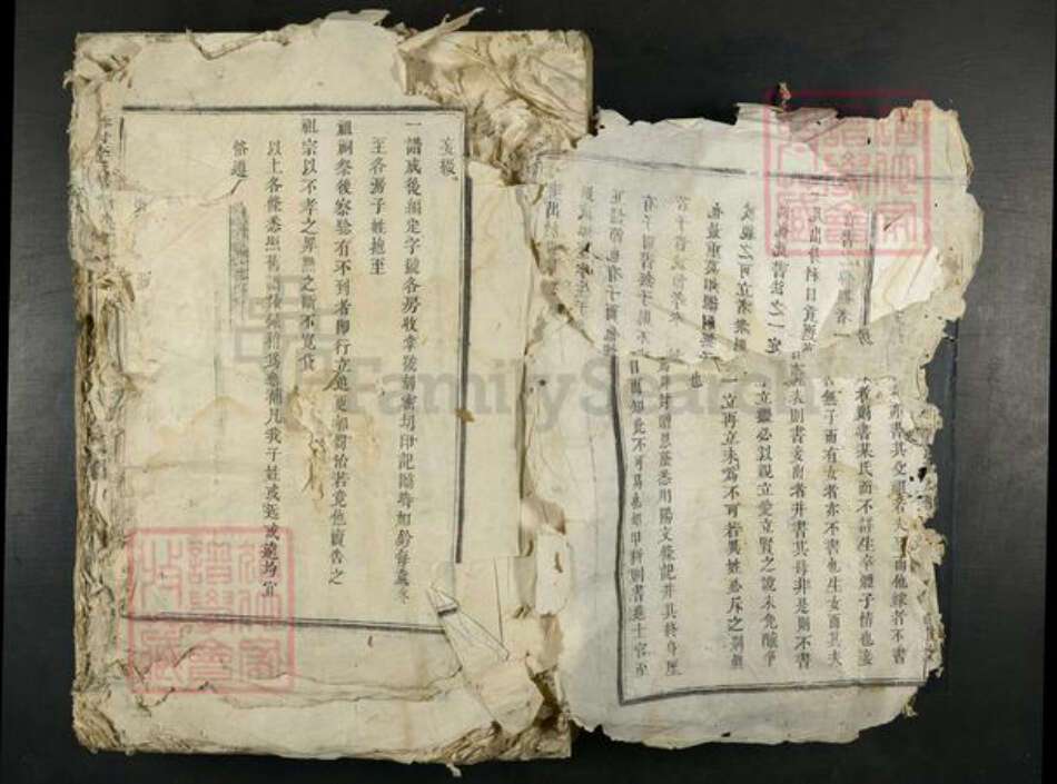 江西省吉安市吉水县李氏族谱-谷村李氏月州派谱.pdf电子版预览图3