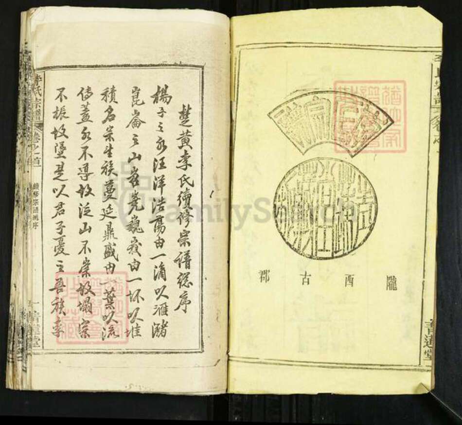 湖北省黄冈市麻城市李氏青莲堂族谱-李氏宗谱.pdf电子版预览图2