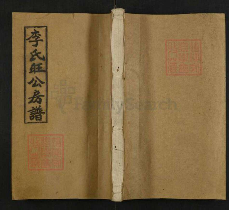 湖南省邵阳市邵东市团山镇李氏绳正堂族谱-李氏五修房谱.pdf电子版缩略图