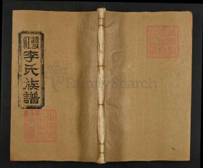 湖南省邵阳市新邵县李氏亲亲堂族谱-邵陵江口.李氏七修族谱.pdf电子版缩略图