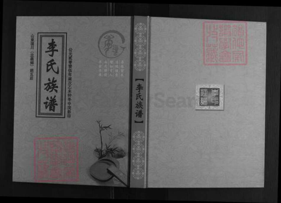 山东省淄博市淄川区李氏族谱-李氏族谱.pdf电子版缩略图