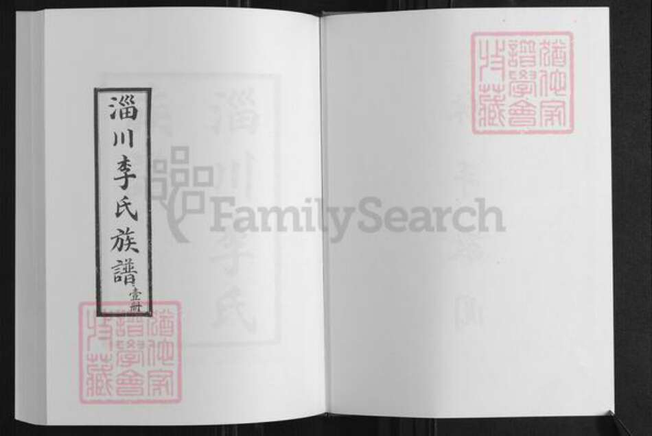 山东省淄博市淄川区李氏族谱-李氏族谱.pdf电子版预览图2