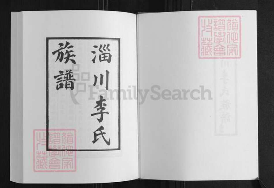 山东省淄博市淄川区李氏族谱-李氏族谱.pdf电子版预览图3