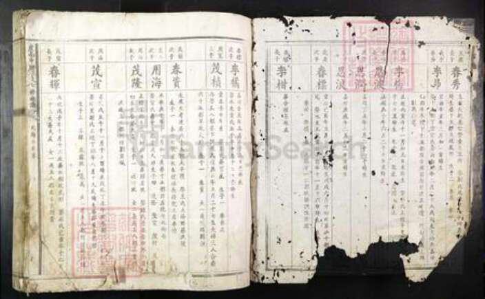 江西省赣州市全南县李氏族谱-虔南中牌李氏七修族谱.pdf电子版预览图1