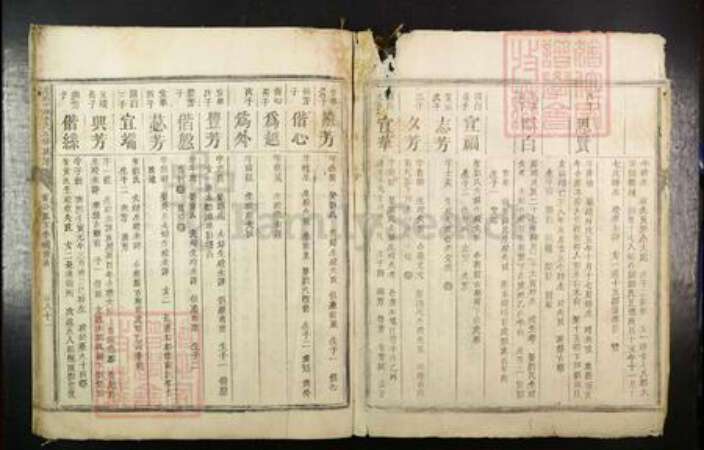 江西省赣州市于都县贡江镇李氏族谱-虔南中牌李氏五修族谱.pdf电子版预览图2