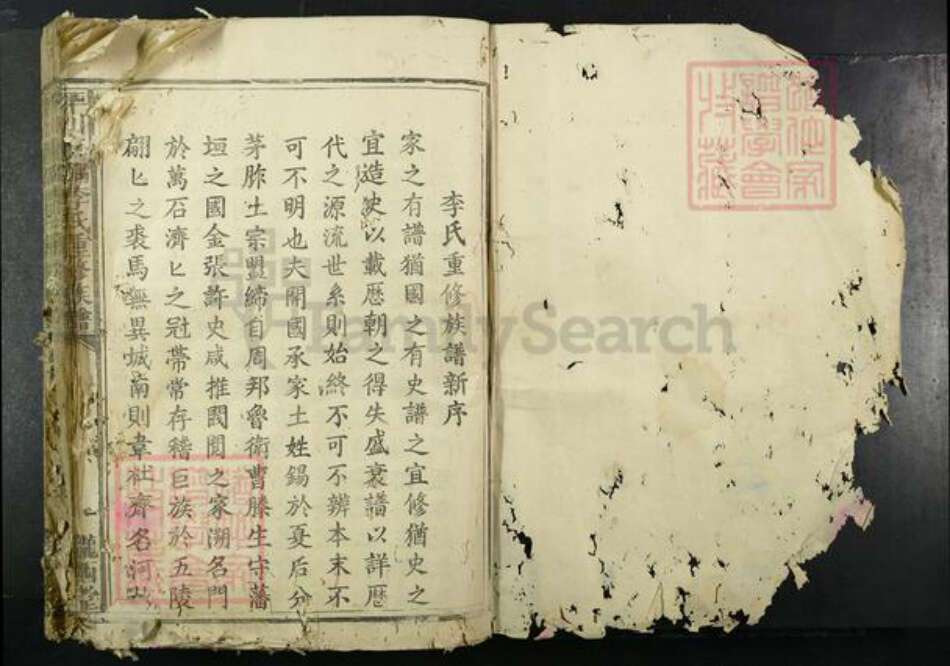 江西省赣州市兴国县江西省赣州市兴国县李氏陇西堂族谱-平川东隅李氏重修族谱.pdf电子版预览图1