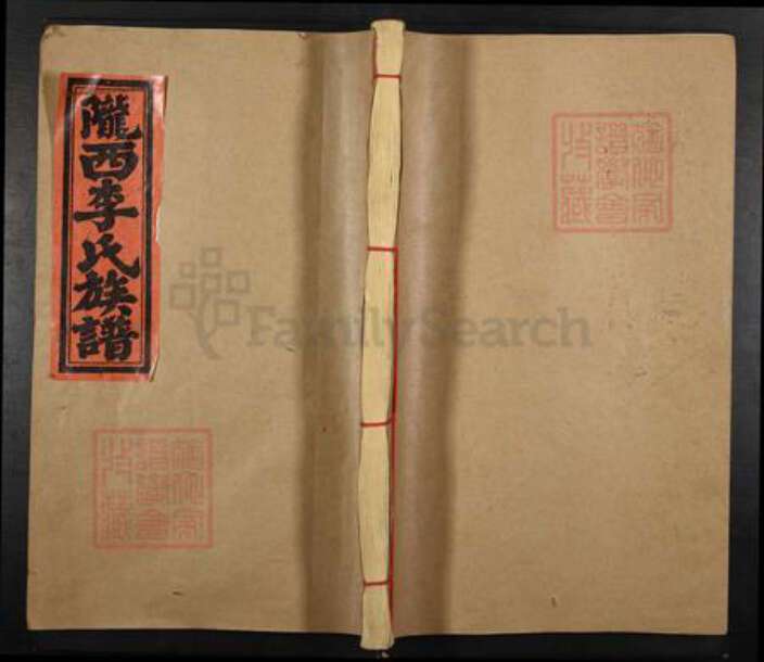 福建省龙岩市上杭县稔田镇李氏族谱-陇西李氏族谱.pdf电子版缩略图