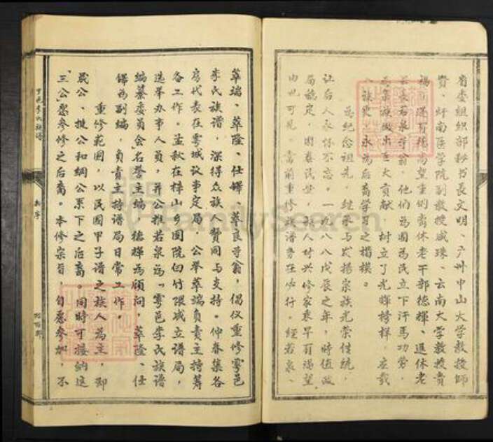 福建省龙岩市上杭县稔田镇李氏族谱-陇西李氏族谱.pdf电子版预览图2