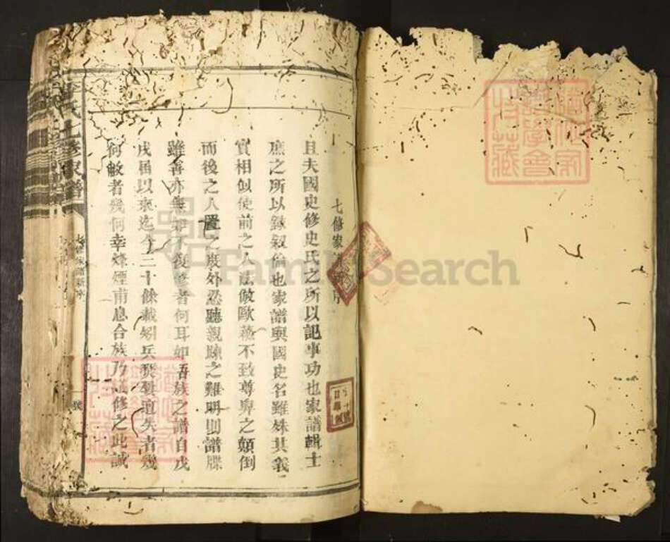 广东省清远市阳山县太平镇李氏族谱-李氏七修家谱.pdf电子版预览图2