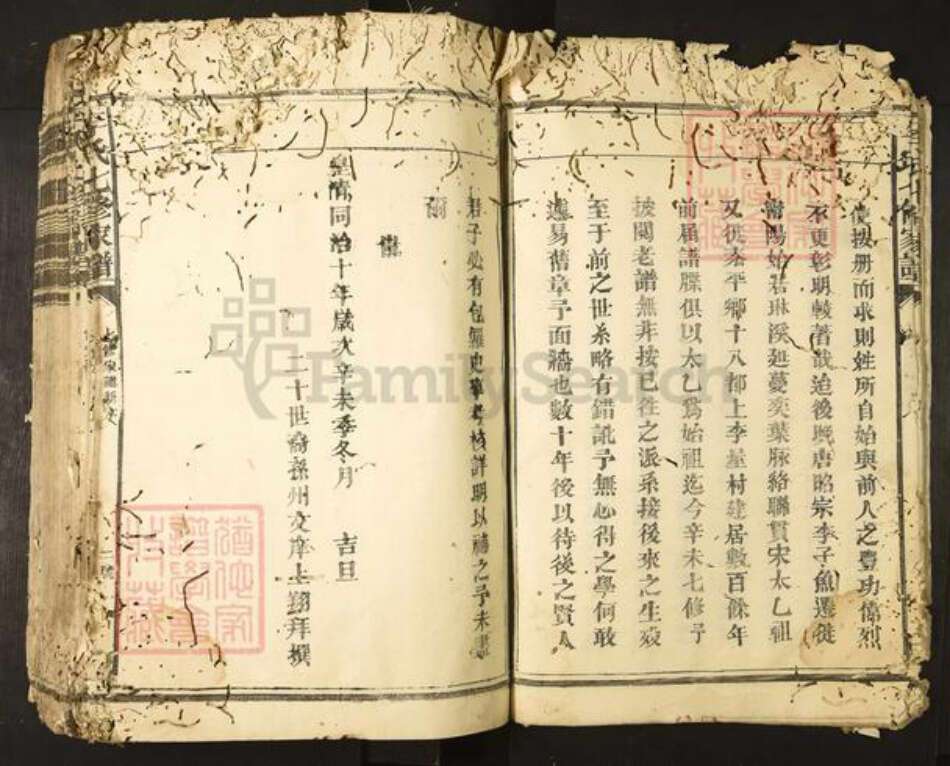 广东省清远市阳山县太平镇李氏族谱-李氏七修家谱.pdf电子版预览图5