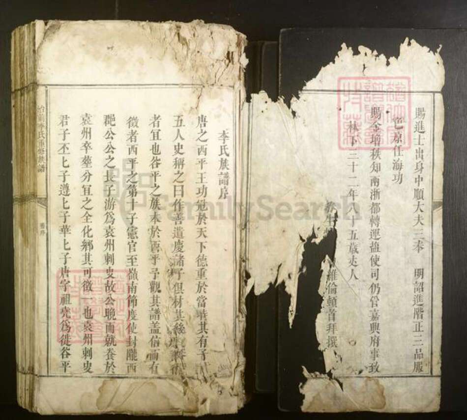 江西省抚州市乐安县李氏族谱-治前李氏重修族谱 [不分卷].pdf电子版预览图2