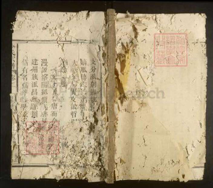 福建省李氏族谱-李氏宗谱.pdf电子版缩略图