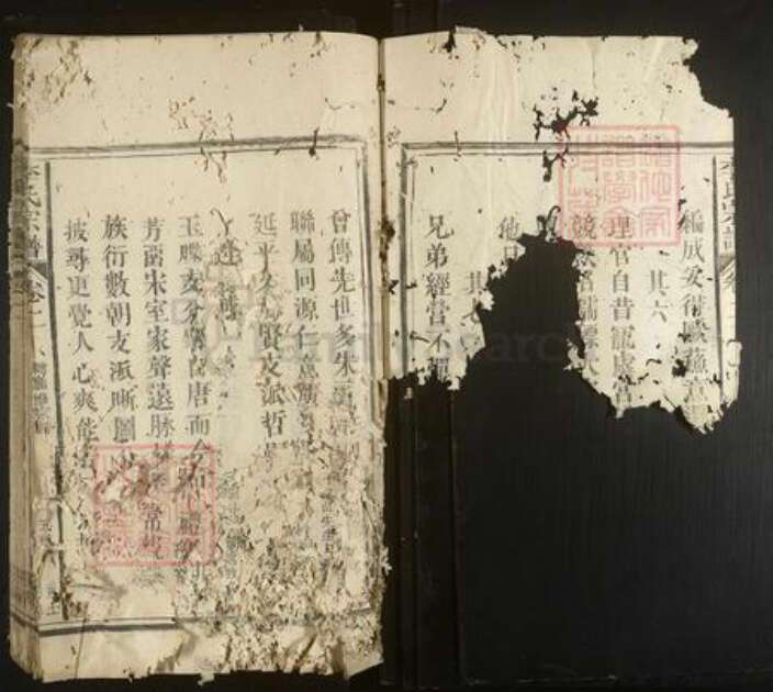 福建省李氏族谱-李氏宗谱.pdf电子版预览图2