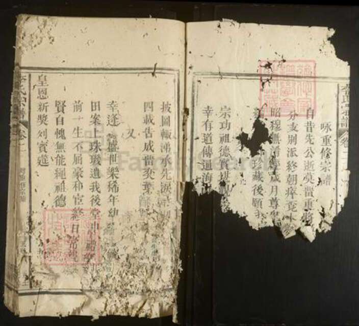 福建省李氏族谱-李氏宗谱.pdf电子版预览图3