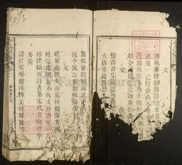 福建省李氏族谱-李氏宗谱.pdf电子版预览图4