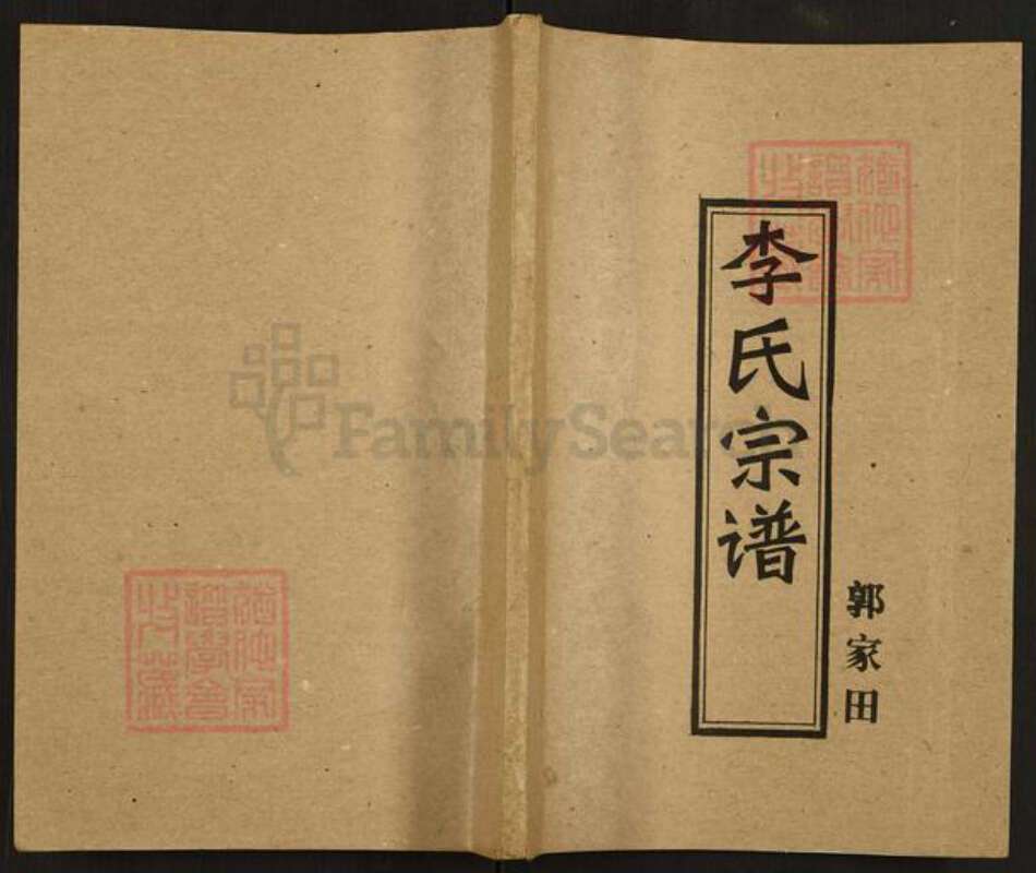 湖北省武汉市湖北省武汉市李氏陇西堂族谱-李氏宗谱.pdf电子版缩略图