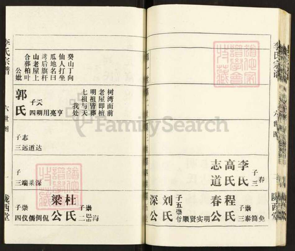 湖北省武汉市湖北省武汉市李氏陇西堂族谱-李氏宗谱.pdf电子版预览图2