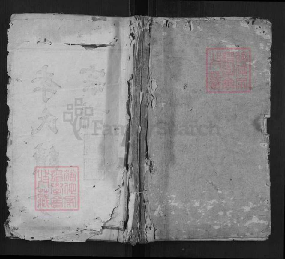 湖南省邵阳市李氏族谱-李氏续修宗谱[7卷末1卷].pdf电子版缩略图