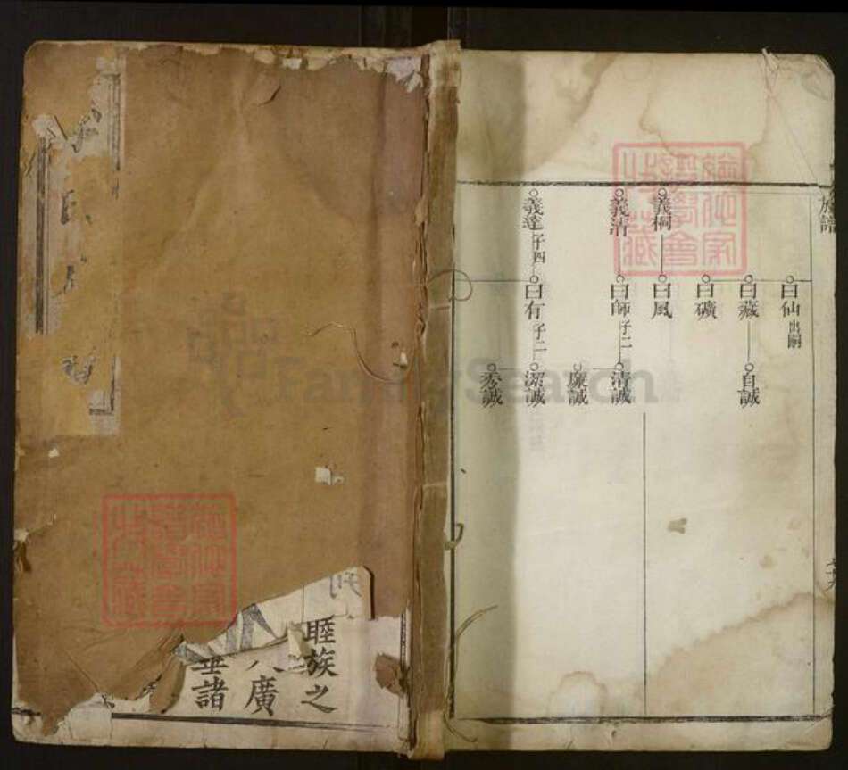 山东省济南市莱芜区李氏族谱-[李氏]族谱[不分卷].pdf电子版缩略图