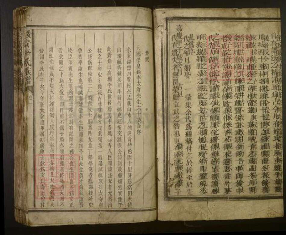 江西省赣州市宁都县李氏族谱-绥安李氏族谱.pdf电子版预览图2