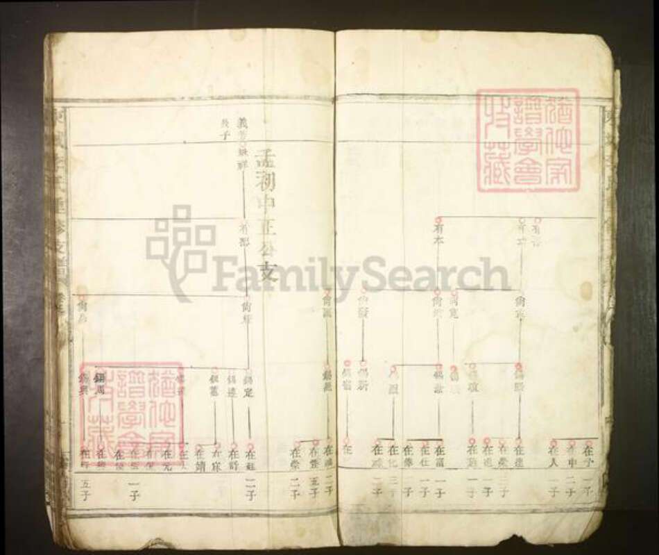 江西省南昌市李氏族谱-城东李氏重修支谱.pdf电子版预览图5